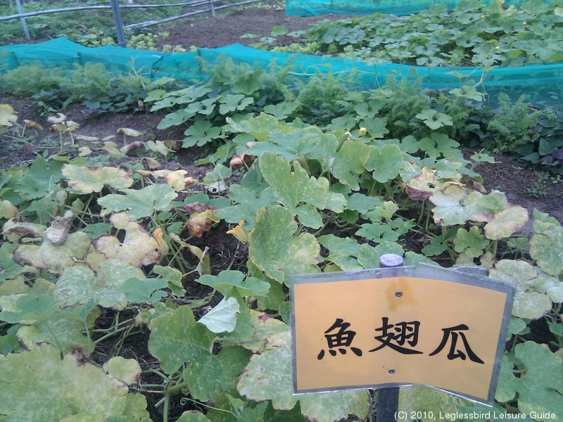 20100215Farm Visit07.jpg